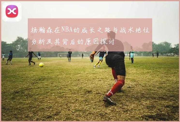 杨瀚森在NBA的成长之路与战术地位分析及其背后的原因探讨