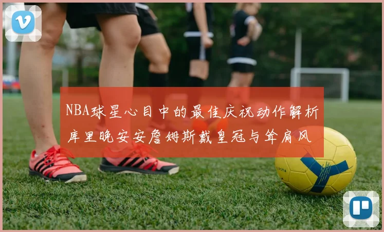 NBA球星心目中的最佳庆祝动作解析库里晚安安詹姆斯戴皇冠与耸肩风采