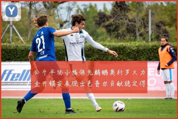 公牛半场小幅领先鹈鹕奥科罗火力全开锡安表现出色普尔贡献稳定得分